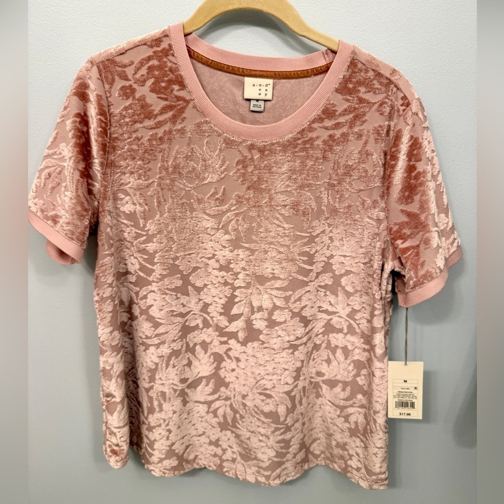 Set of 2 Floral Velvet Pink Blush Tops A New Day M